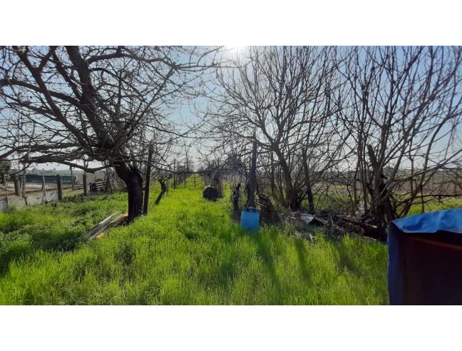 Anteprima foto 5 - Casa indipendente in Vendita a Canaro (Rovigo)