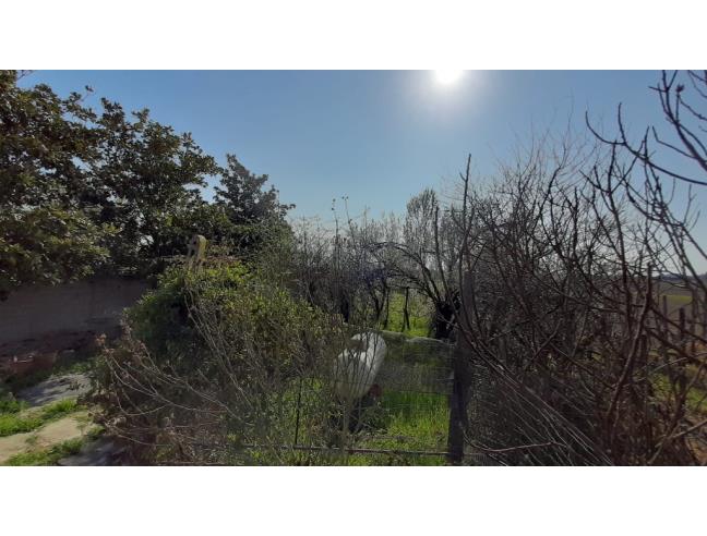 Anteprima foto 7 - Casa indipendente in Vendita a Canaro (Rovigo)