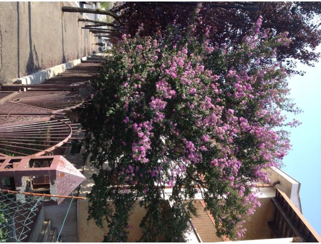 Anteprima foto 2 - Casa indipendente in Vendita a Canelli (Asti)