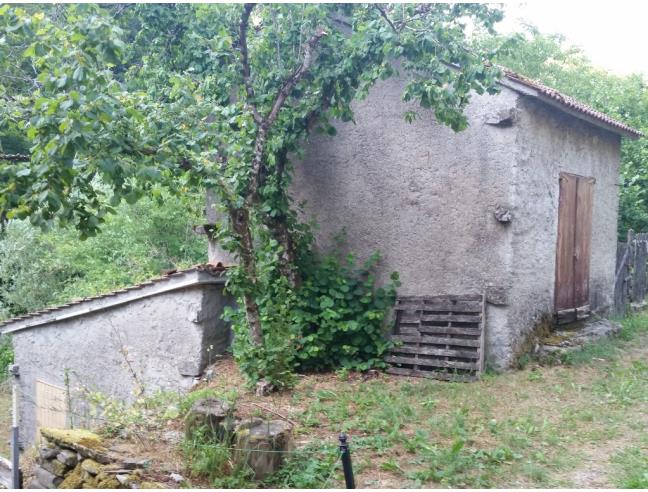Anteprima foto 2 - Casa indipendente in Vendita a Cantagallo (Prato)