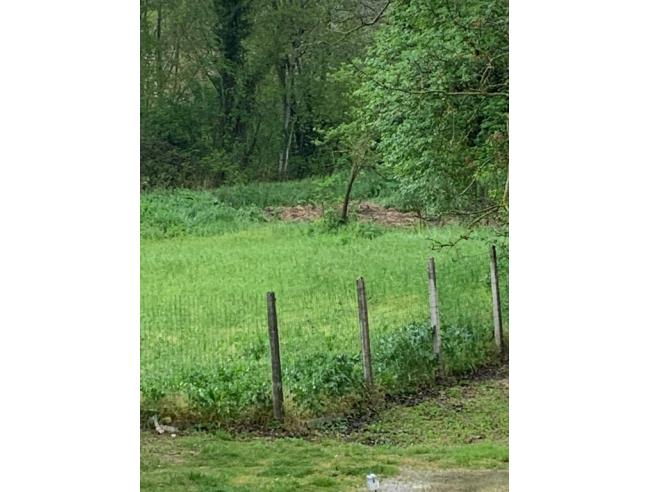 Anteprima foto 7 - Casa indipendente in Vendita a Cantalupo nel Sannio - La Taverna