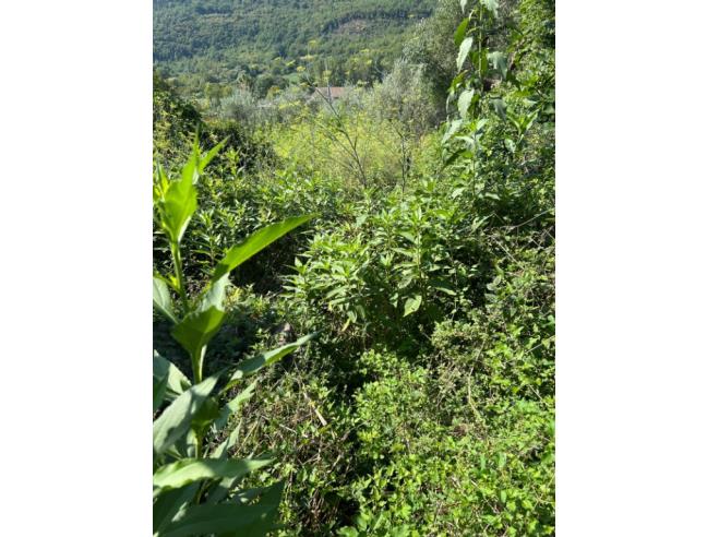 Anteprima foto 8 - Casa indipendente in Vendita a Capriati a Volturno (Caserta)