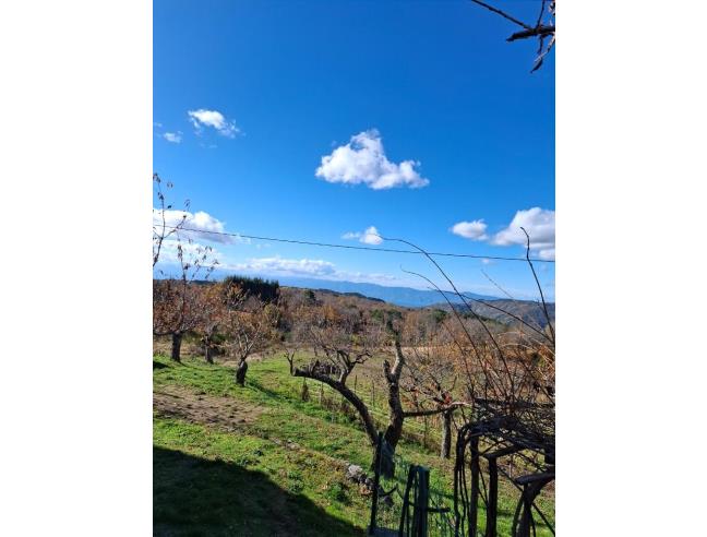 Anteprima foto 7 - Casa indipendente in Vendita a Cardeto (Reggio Calabria)