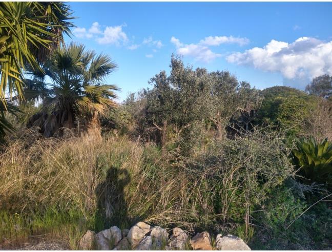 Anteprima foto 3 - Casa indipendente in Vendita a Carovigno (Brindisi)