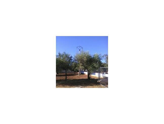 Anteprima foto 3 - Casa indipendente in Vendita a Carovigno (Brindisi)