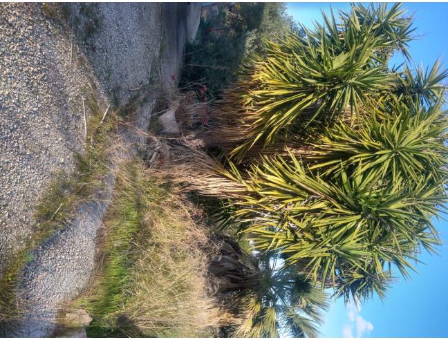 Anteprima foto 4 - Casa indipendente in Vendita a Carovigno (Brindisi)