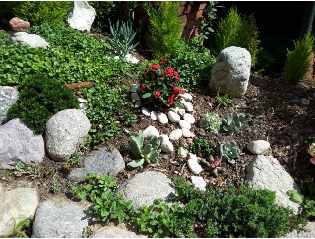 Anteprima foto 5 - Casa indipendente in Vendita a Casaletto Lodigiano - Mairano