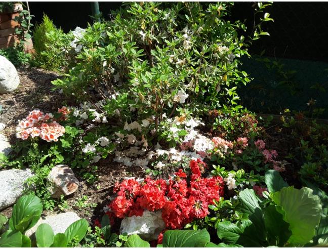 Anteprima foto 6 - Casa indipendente in Vendita a Casaletto Lodigiano - Mairano