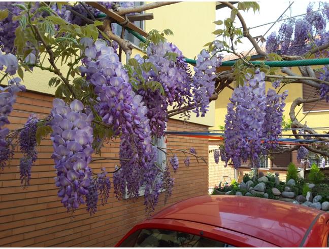 Anteprima foto 7 - Casa indipendente in Vendita a Casaletto Lodigiano - Mairano