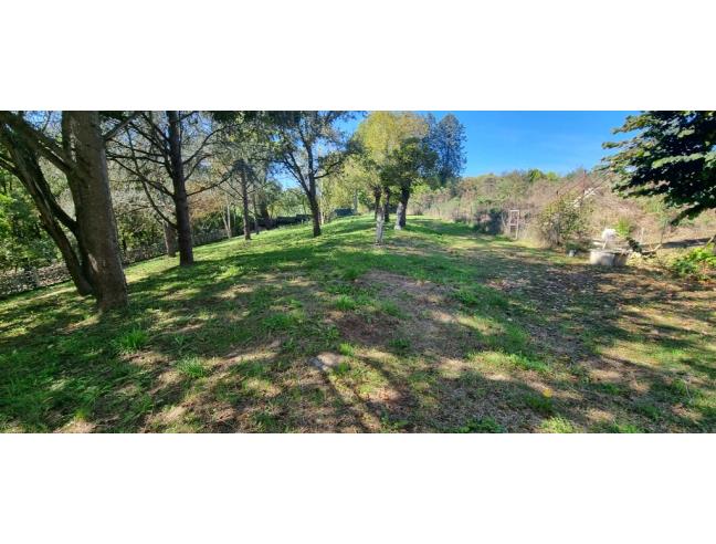 Anteprima foto 4 - Casa indipendente in Vendita a Cassine (Alessandria)