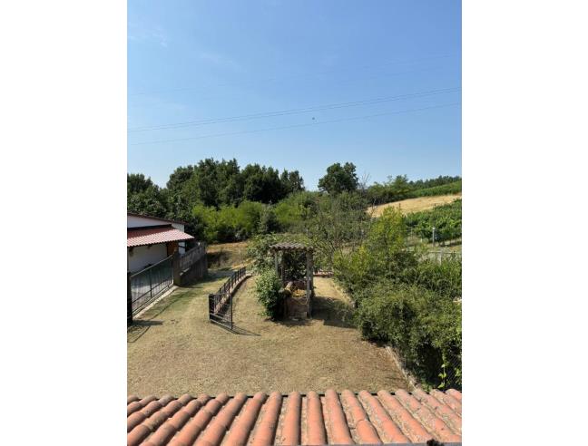 Anteprima foto 5 - Casa indipendente in Vendita a Cassine (Alessandria)