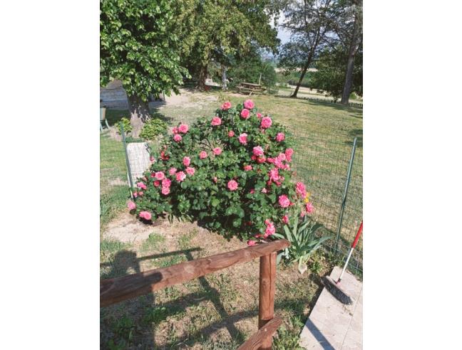 Anteprima foto 5 - Casa indipendente in Vendita a Cassine (Alessandria)