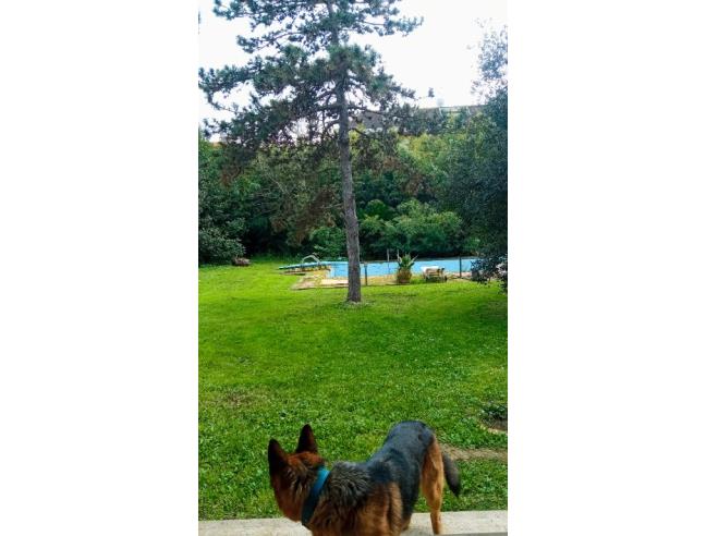 Anteprima foto 4 - Casa indipendente in Vendita a Castel Gandolfo - Pavona