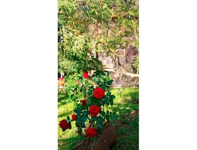 Anteprima foto 7 - Casa indipendente in Vendita a Castel Gandolfo - Pavona