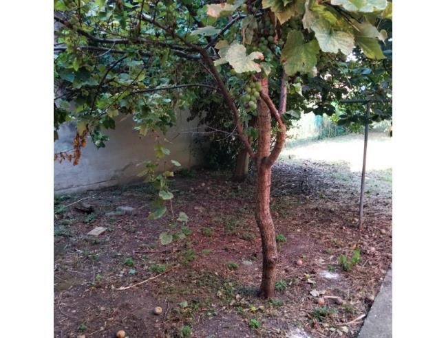 Anteprima foto 7 - Casa indipendente in Vendita a Castel San Giovanni (Piacenza)