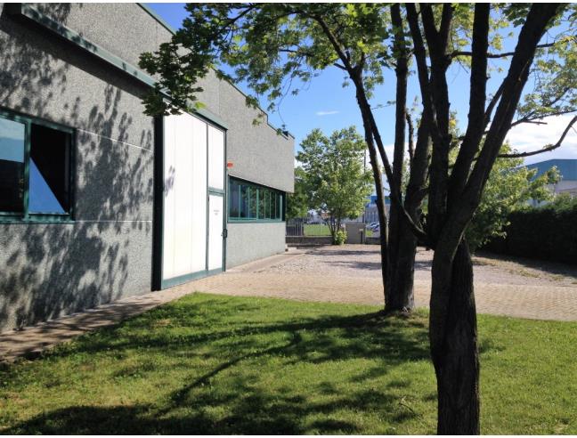 Anteprima foto 2 - Casa indipendente in Vendita a Castelbelforte (Mantova)