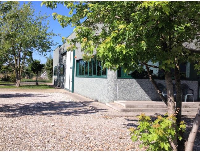 Anteprima foto 4 - Casa indipendente in Vendita a Castelbelforte (Mantova)