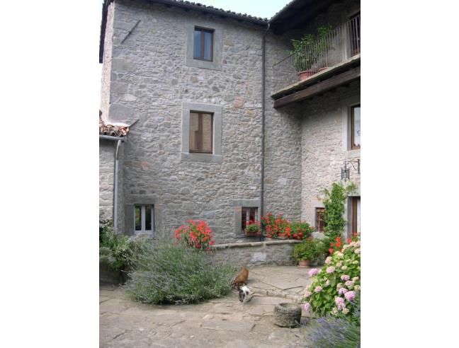 Anteprima foto 3 - Casa indipendente in Vendita a Castelnuovo di Garfagnana - Gragnanella