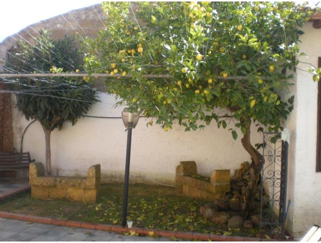 Anteprima foto 7 - Casa indipendente in Vendita a Castelvetrano (Trapani)
