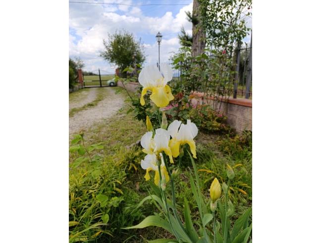 Anteprima foto 2 - Casa indipendente in Vendita a Castiglione del Lago - Pozzuolo
