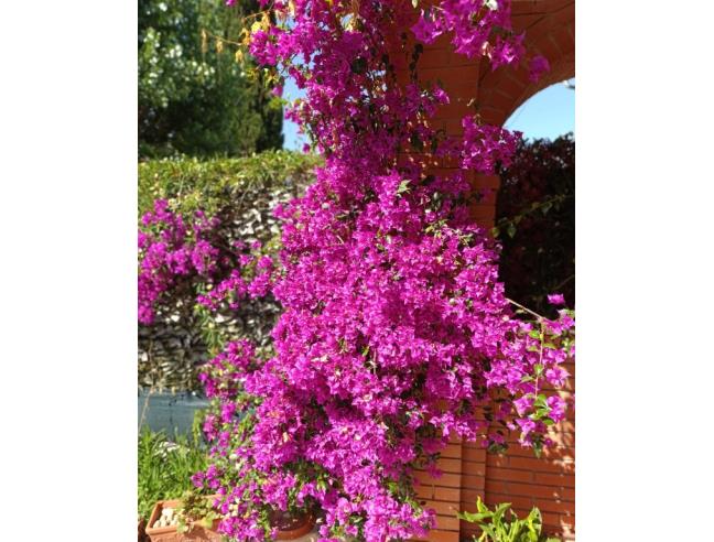 Anteprima foto 3 - Casa indipendente in Vendita a Castiglione del Lago - Pozzuolo