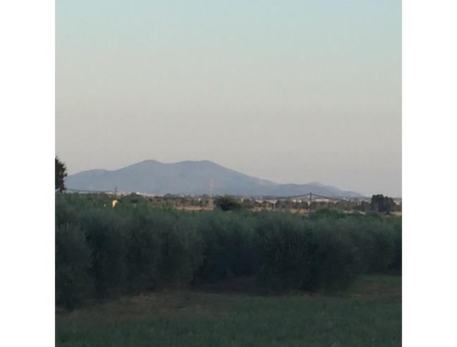 Anteprima foto 7 - Casa indipendente in Vendita a Castiglione della Pescaia - Ampio