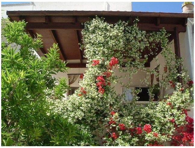 Anteprima foto 6 - Casa indipendente in Vendita a Castrignano del Capo - Leuca