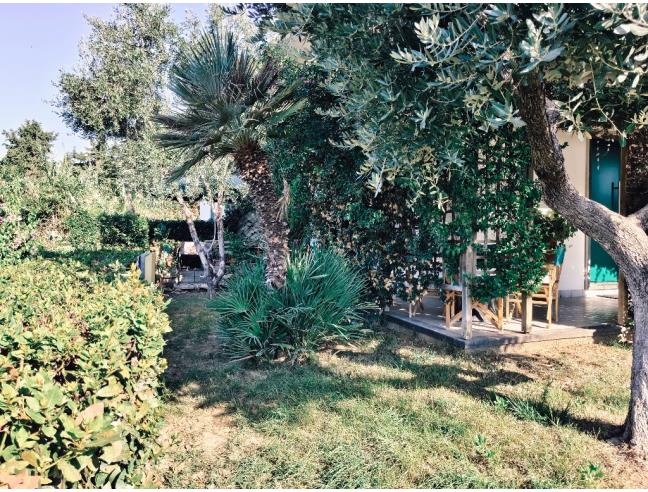 Anteprima foto 2 - Casa indipendente in Vendita a Cecina (Livorno)