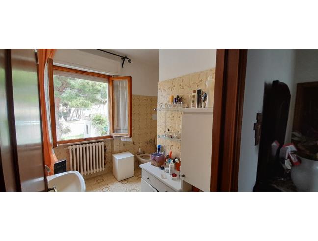 Anteprima foto 5 - Casa indipendente in Vendita a Cecina (Livorno)