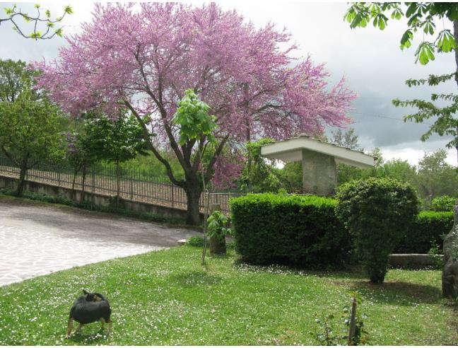 Anteprima foto 4 - Casa indipendente in Vendita a Cercemaggiore - Fonte La Noce