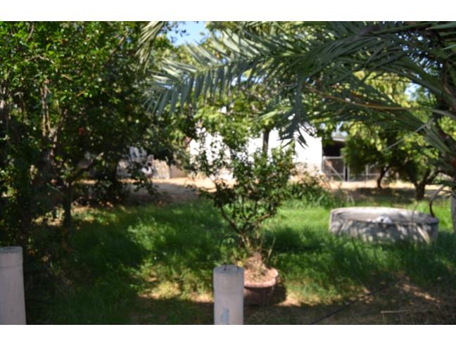 Anteprima foto 6 - Casa indipendente in Vendita a Cerchiara di Calabria (Cosenza)