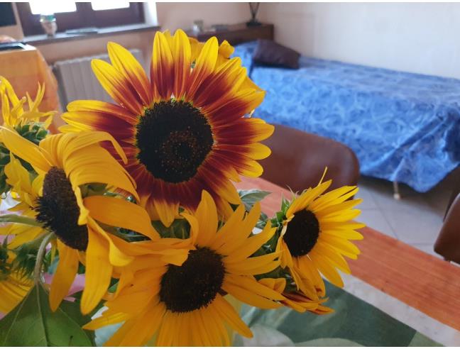 Anteprima foto 2 - Casa indipendente in Vendita a Cervere (Cuneo)