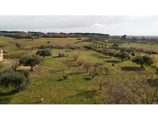 Anteprima foto 4 - Casa indipendente in Vendita a Cerveteri (Roma)