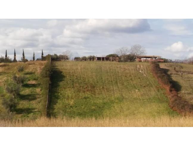 Anteprima foto 6 - Casa indipendente in Vendita a Cerveteri (Roma)