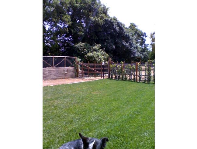 Anteprima foto 2 - Casa indipendente in Vendita a Cerveteri - Sasso