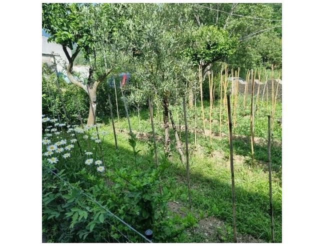 Anteprima foto 2 - Casa indipendente in Vendita a Cetraro (Cosenza)