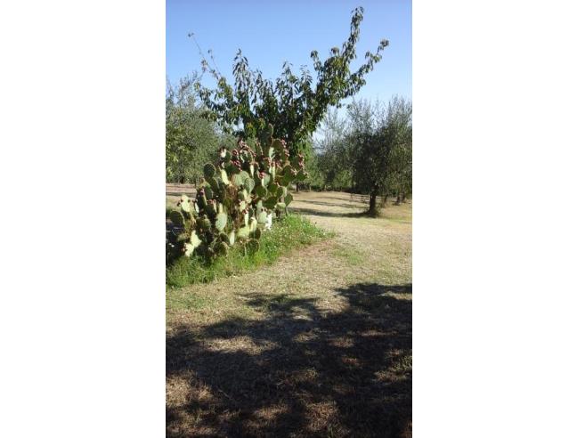 Anteprima foto 3 - Casa indipendente in Vendita a Chianciano Terme (Siena)