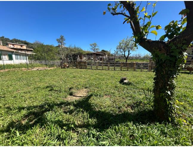 Anteprima foto 4 - Casa indipendente in Vendita a Cisano sul Neva (Savona)