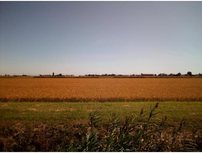 Anteprima foto 2 - Casa indipendente in Vendita a Codigoro - Mezzogoro