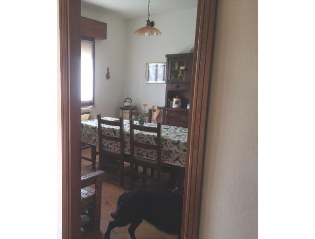 Anteprima foto 2 - Casa indipendente in Vendita a Codigoro - Mezzogoro