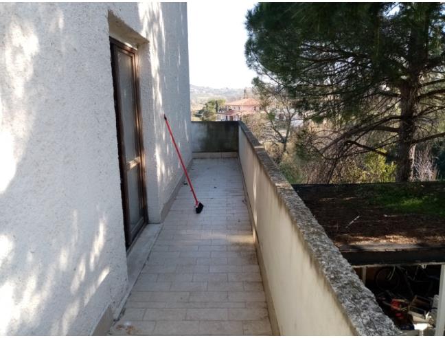 Anteprima foto 3 - Casa indipendente in Vendita a Collecorvino - Congiunti