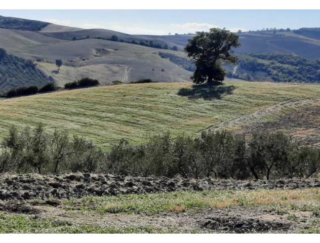 Anteprima foto 6 - Casa indipendente in Vendita a Colletorto (Campobasso)