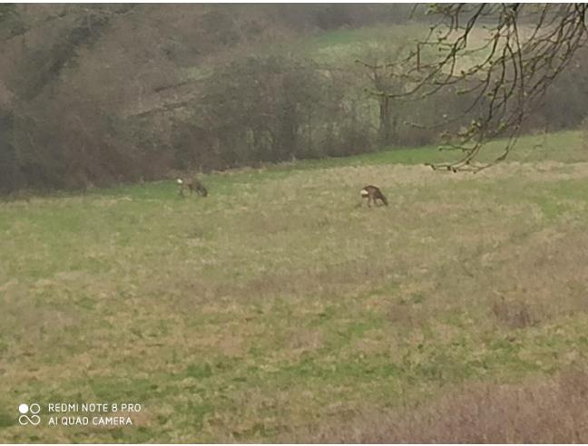 Anteprima foto 2 - Casa indipendente in Vendita a Conegliano (Treviso)
