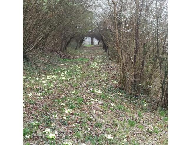 Anteprima foto 5 - Casa indipendente in Vendita a Conegliano (Treviso)