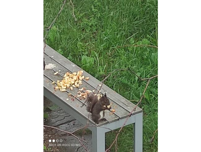 Anteprima foto 6 - Casa indipendente in Vendita a Conegliano (Treviso)