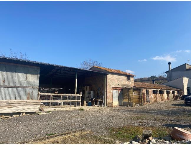 Anteprima foto 4 - Casa indipendente in Vendita a Cortona (Arezzo)