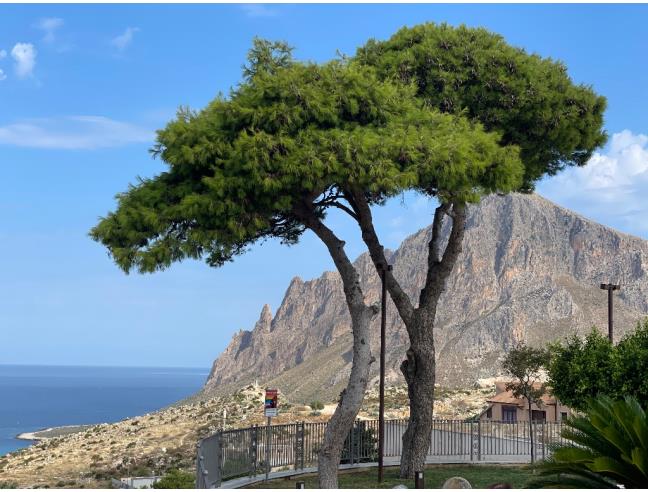Anteprima foto 6 - Casa indipendente in Vendita a Custonaci (Trapani)