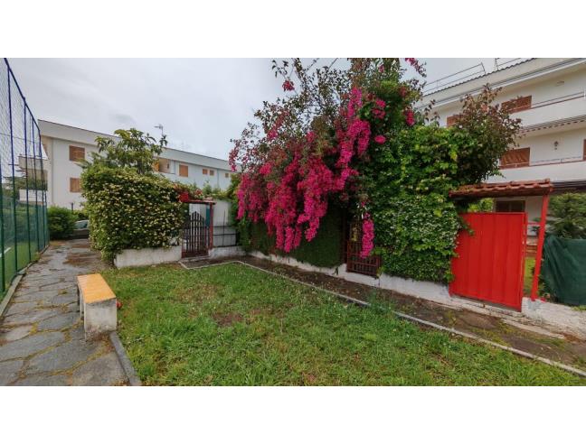 Anteprima foto 1 - Casa indipendente in Vendita a Diamante (Cosenza)