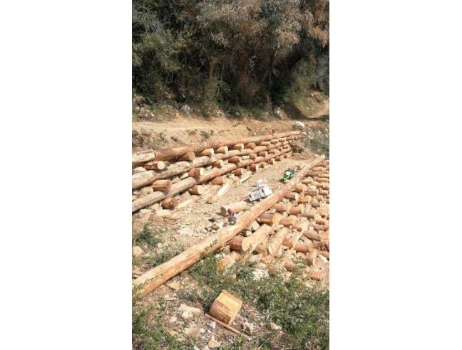Anteprima foto 8 - Casa indipendente in Vendita a Diano San Pietro - Diano Roncagli