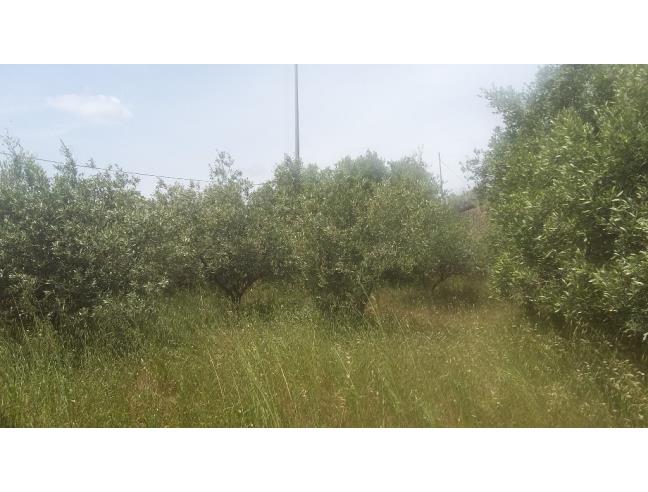 Anteprima foto 7 - Casa indipendente in Vendita a Escalaplano (Sud Sardegna)